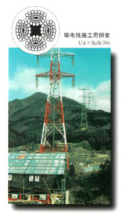 �������߸�˿��